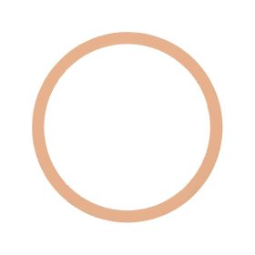Particulate Filter DPF Gasket For Navistar International 2594129C1 New (Option: 1pcs)